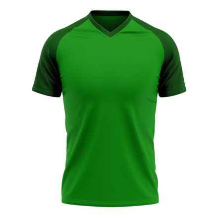Match Set (Jersey-Shorts) FIG. 171  (Αντιγραφή) - Image 4
