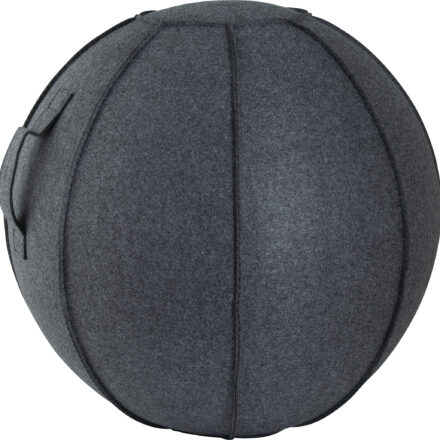 Κάλυμμα για Μπάλα Γυμναστικής AMILA GYMBALL 75cm - Image 1