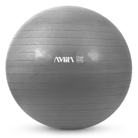 Μπάλα γυμναστικής AMILA GYMBALL 75cm Γκρι - Image 1